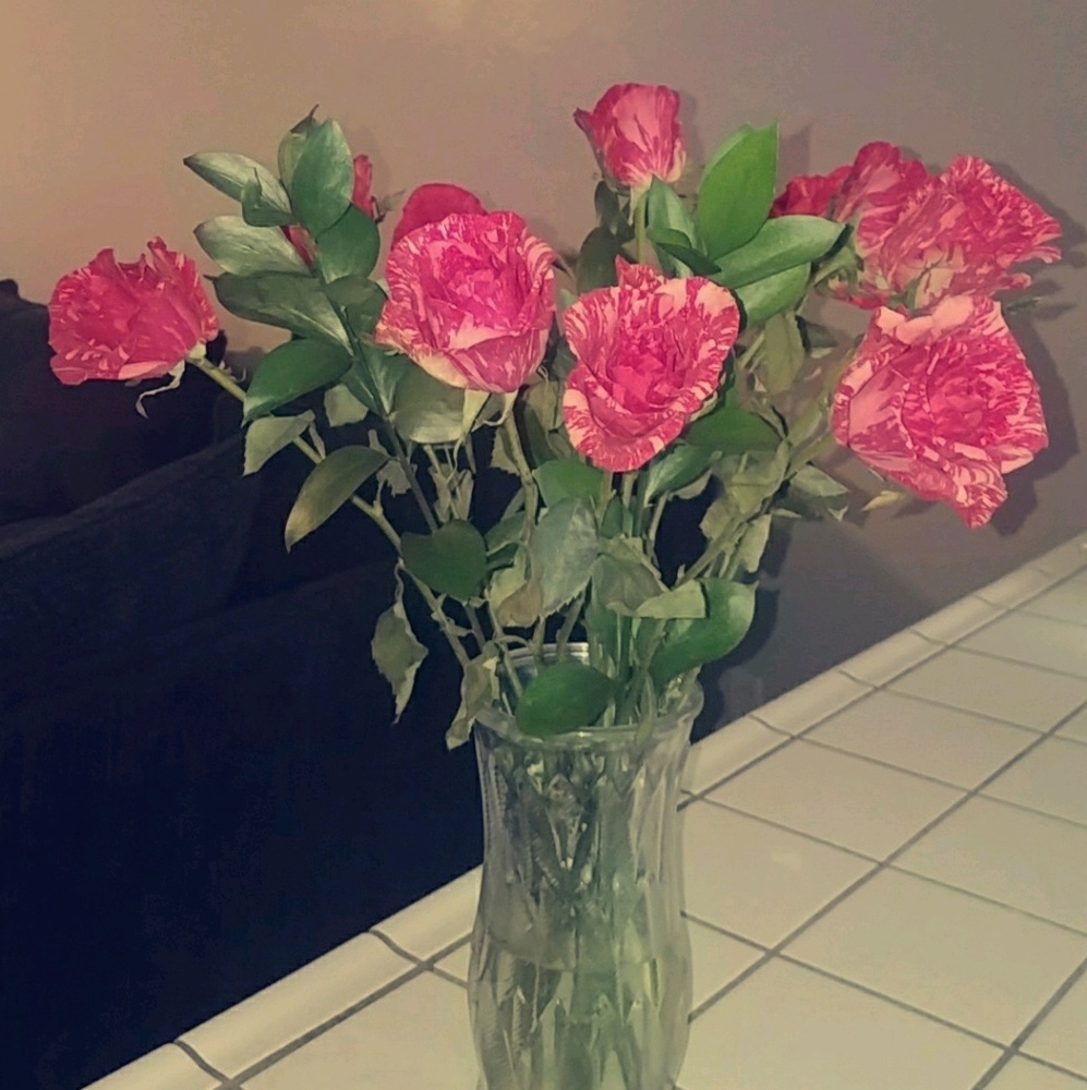 Meet your Posher, Abby